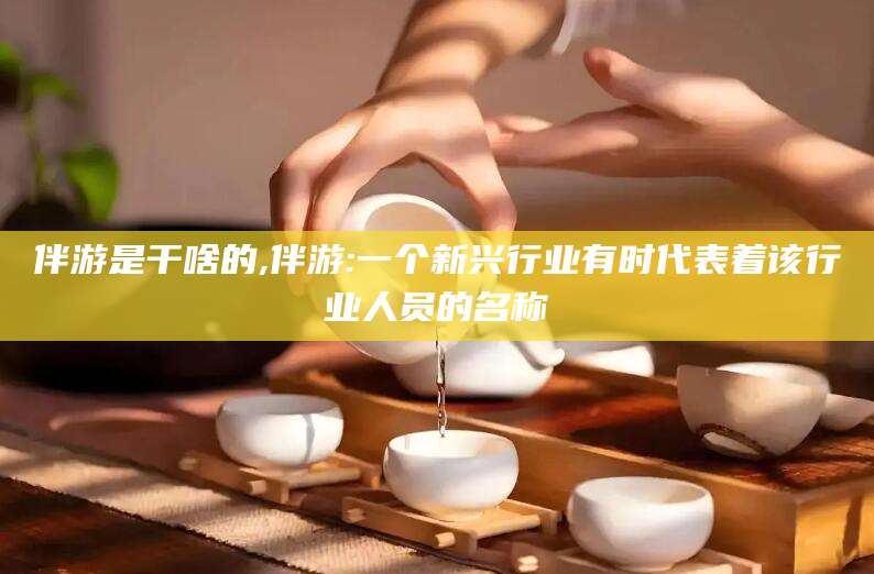 保定伴游是干啥的,伴游:一个新兴行业有时代表着该行业人员的名称